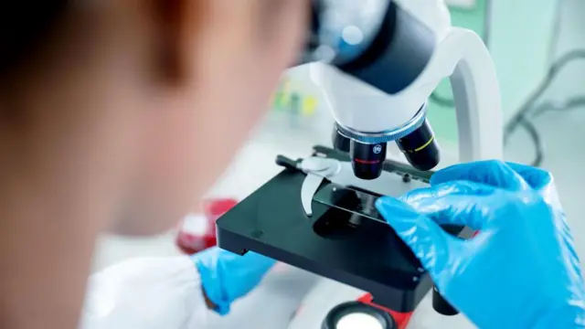 పుట్టగొడుగులు, విచిత్ర భ్రమలు, మరగుజ్జు మనుషులు, ఆహారం, పరిశోధనలు