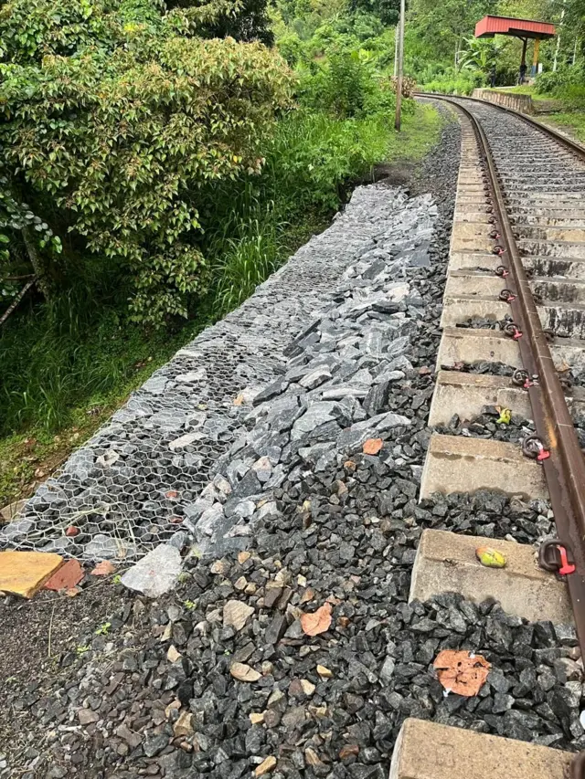 වෙරළුගොල්ල