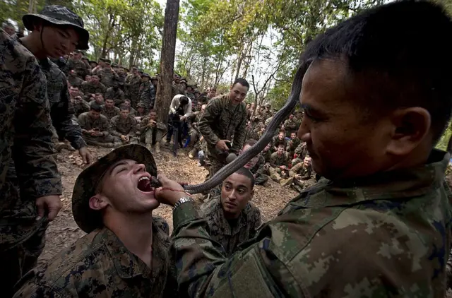 A US Marine drinks cobra blood during a jungle survival program as part of the annual Cobra Gold 2014 combined military exercise at a navy base in Chanthaburi province on February 15, 2014. About 8,000 military personnel from seven nations, South Korea, Indonesia, Thailand, US, Singapore, Japan and Malaysia are involved in the exercise. AFP PHOTO/PORNCHAI KITTIWONGSAKUL (Photo credit should read PORNCHAI KITTIWONGSAKUL/AFP via Getty Images)