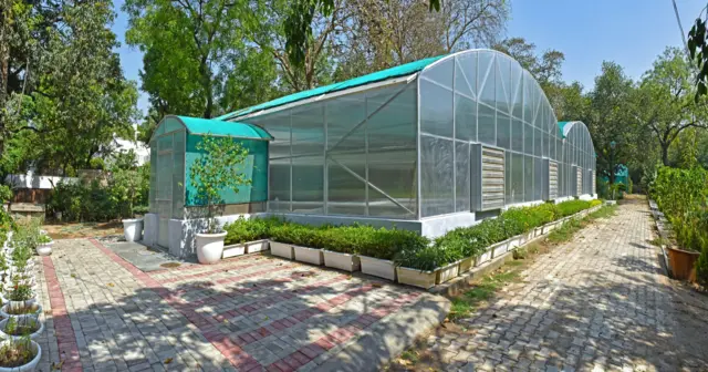 ਪੋਲੀਹਾਊਸ 