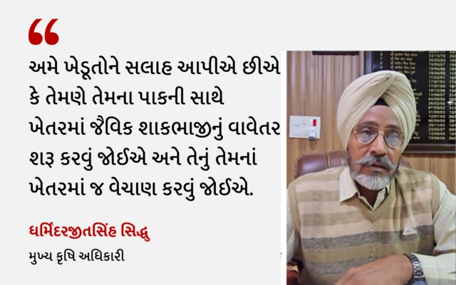 બેડ ફાર્મિંગ એટલે શું, બેડફાર્મિંગથી કેટલું ઉત્પાદન થાય, બેડ ફાર્મિંગથી પાણીની બચત, પ્રગતિશીલ ખેડૂત, કૃષિઉત્પાદકતા, કૃષિ સમાચાર, બીબીસી ગુજરાતી