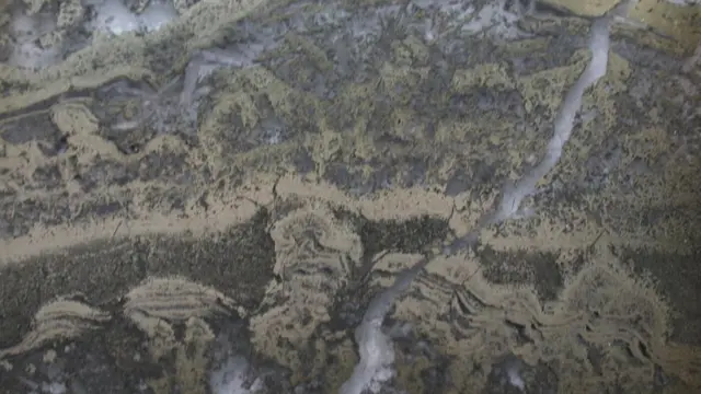 Foto electrónica de un estromatolitos