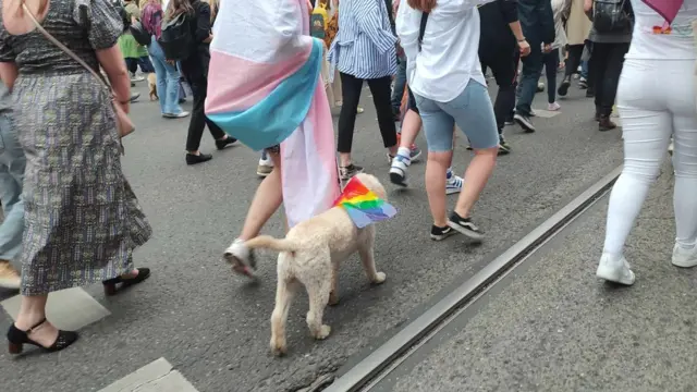 Pas na Prajdu u Sarajevu