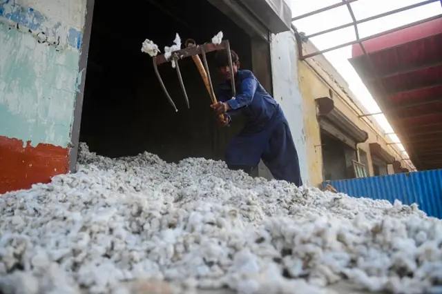 પ્રતીકાત્મક તસવીર