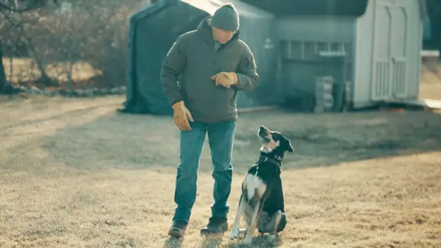 muškarac sa psom u šetnji blizu kuće - gleda odozgo u crno-belog i žutosmeđeg psa koji ga gleda
