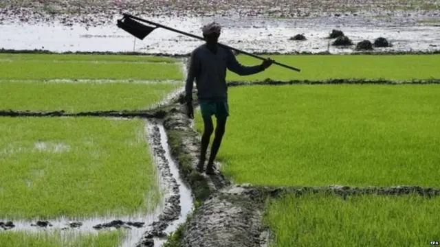 परेशान किसान