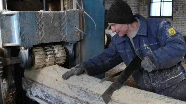 Работы по заготовке и переработке леса