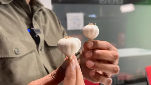 একজনের দুই হাতে দুটি রসুন