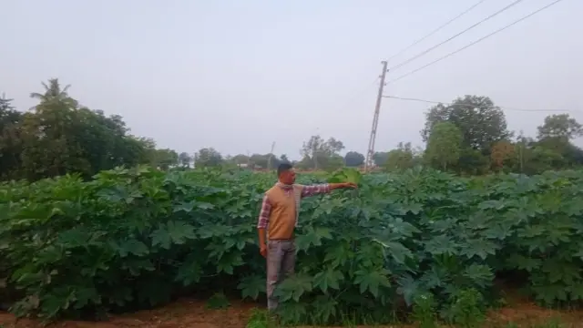 નવાગરા ગામના ખેડૂત નંદલાલ મેણાત કૃષિ ખેડૂત ગુજરાત