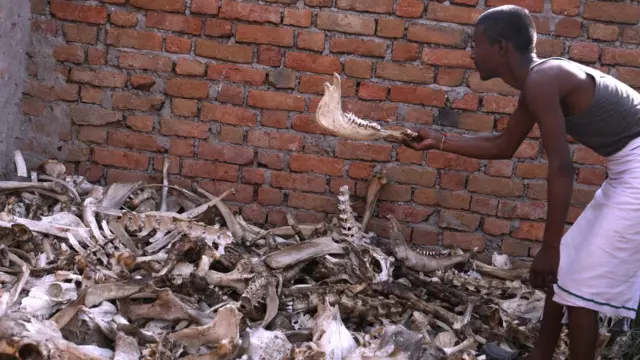 हड्डियां