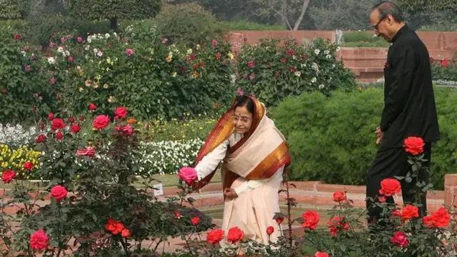 ਮੁਗ਼ਲ ਗਾਰਡਨ