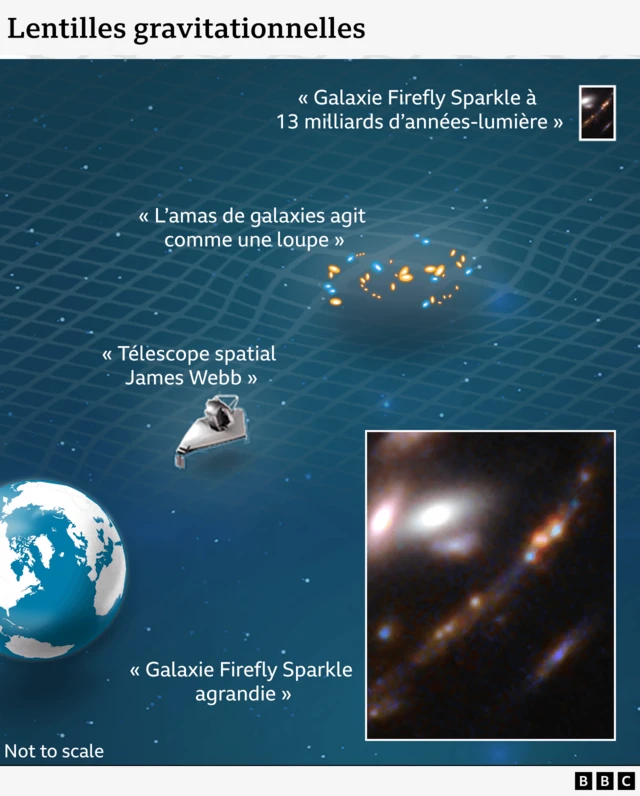 Graphique montrant qu'un amas de galaxies entre le télescope spatial James Webb a agrandi Firefly Sparkle.