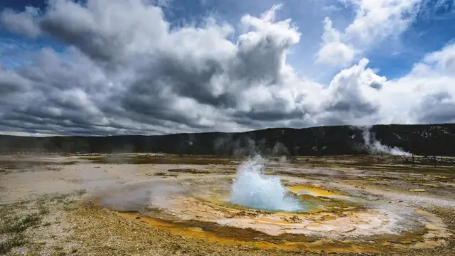 يتوقع أن تكون الأنواع الحية والكائنات الدقيقة القادرة على تحمل الحرارة ببيئات متطرفة، أقل تأثرا بتغير المناخ