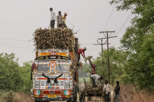 ઇથેનૉલ, બીબીસી ગુજરાતી