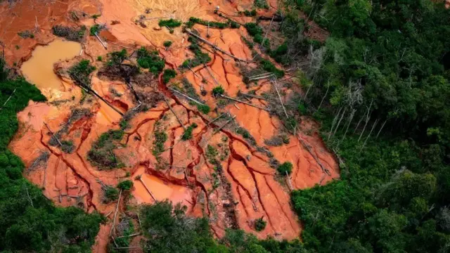 అధ్యక్షుడు బోల్సనారో అధికారంలోకి వచ్చిన తర్వాత స్మగ్లర్ల కార్యకలాపాలు పెరిగాయని స్థానికులు చెబుతున్నారు