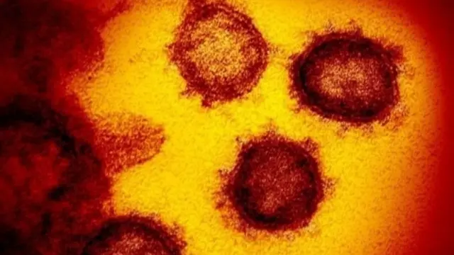 করোনাভাইরাস।