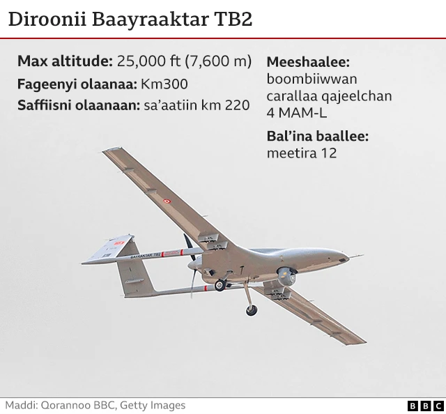 Dirooniiwwan Yukireen