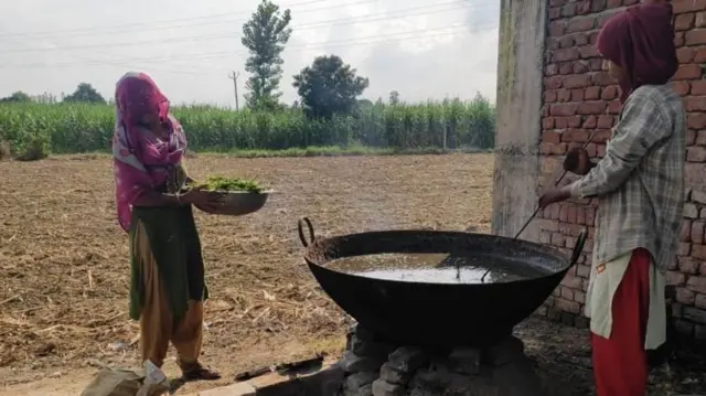 இந்தத் திட்டம் கிராமப்புற பெண்களுக்கும் விவசாயிகளுக்கும் வருமானத்தை அதிகரிக்கும் என எஃப்பிஓவின் பிரவீண் குமார் கூறுகிறார்.