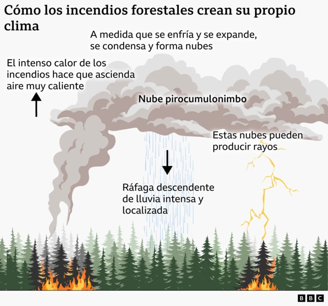 Infografía que muestra el proceso por el cual los incendios forestales crean su propio clima