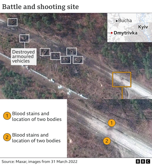 Satellite image of the site