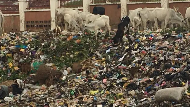 World Environmental day