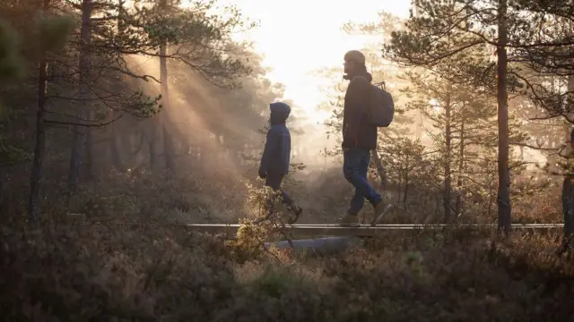 Pai e filho andandosinais aviator betnacionalmeio à floresta na Finlândia