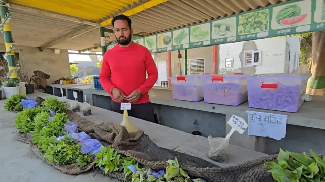 ਅਮਨਿੰਦਰ ਸਿੰਘ 