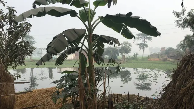 गोरखपुर