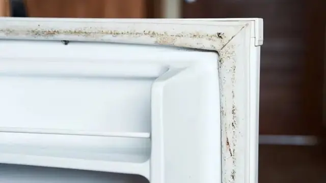 අපිරිසිදු රබර් සීලර් ඇති ශීතකරණ දොරක්