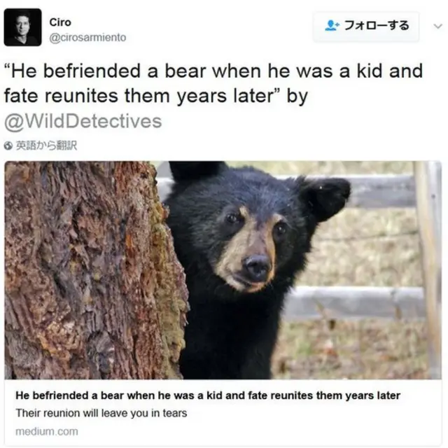 He befriended a bear when he was a kid and fate reunites them years later