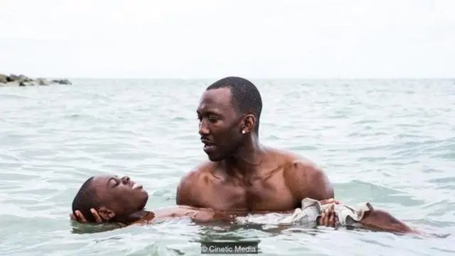Dengan tema ganda soal ras dan seksualitas, film terbaik 2017, Moonlight membuka jalan bagi beberapa film yang ada di nominasi film terbaik tahun ini.