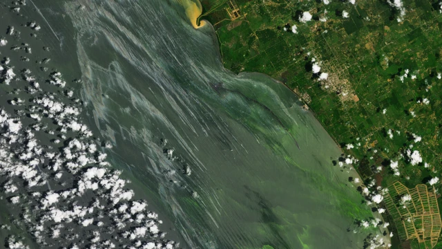 Manchas de petróleo podem ser observadas nas imagens divulgadas pela Nasa