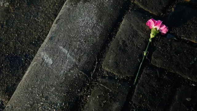 Cvet na mestu pogibije