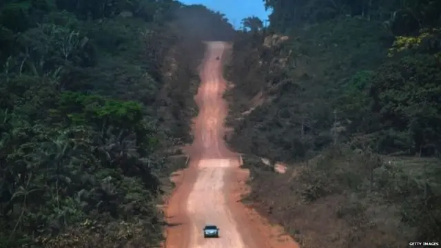 ਜੰਗਲਾਂ ਵਿੱਚ ਮਨੁੱਖੀ ਦਖ਼ਲ ਬੀਮਾਰੀਆਂ ਦੇ ਖ਼ਤਰੇ ਨੂੰ ਵਧਾ ਰਿਹਾ ਹੈ