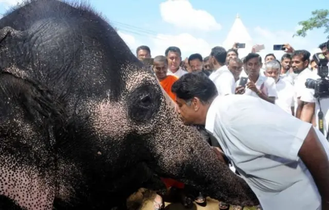 ஐக்கிய தேசியக் கட்சியின் ஜனாதிபதி வேட்பாளர் சஜித் பிரேமதாஸ