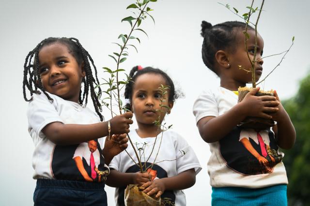ثلاث فتيات يحملن شتلات ضمن مبادرة زراعة الأشجار في أثيوبيا