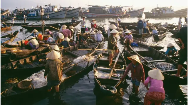 వియాత్నాం, థాయ్‌లాండ్ లాంటి దేశాల నుంచి ఈ చేపలు ప్రపంచవ్యాప్తంగా ఎగుమతి అవుతున్నాయి