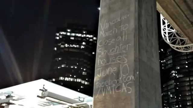 Još jedna bitna stvar po kojoj okrug Metro Vankuver, kome pripadaju Bernabi i Vankuver, poseban jeste to što prepun šuma, parkova i životinja