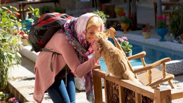 در ادبیات کهن و معاصر فارسی، گربه هم به‌صورت مستقیم و هم به‌عنوان نمادی استفاده شده است.