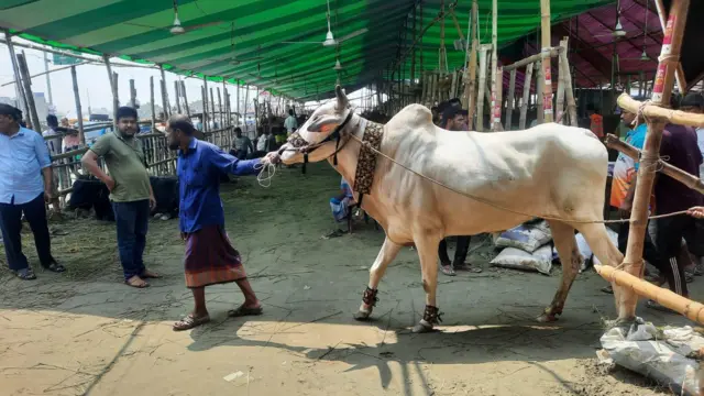 কোরবানির হাট 