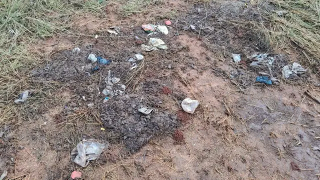 யானைகள், சுற்றுச்சூழல், கோயம்புத்தூர், பிளாஸ்டிக் கழிவுகள், விலங்குகள்