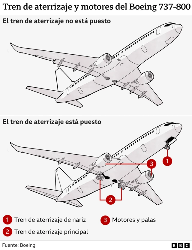 Gráfico del avión 