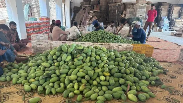 પહેલાની સરખામણીએ માર્કેટમાં કેરી આ વખતે ઓછી છે