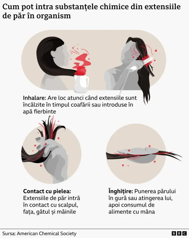 Infografic care explică cum pot intra substanțele chimice din extensiile de păr în organism: prin inhalarea vaporilor degajați când extensiile sunt încălzite sau introduse în apă fierbinte, prin contact cu pielea (scalp, față, gât, mâini) sau prin ingerare involuntară.