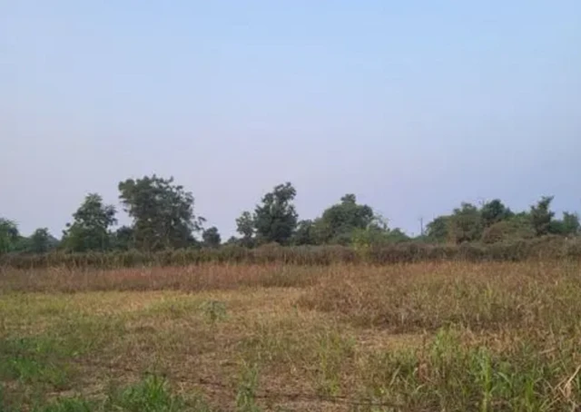 ਪਰਿਵਾਰ ਦੇ ਖੇਤਾਂ ਵਿੱਚ ਕੋਈ ਵੀ ਫਸਲ ਨਹੀਂ ਬੀਜੀ ਹੋਈ ਹੈ