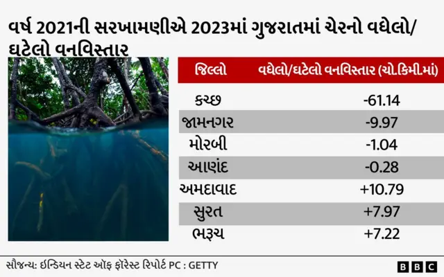 બીબીસી ગુજરાતી