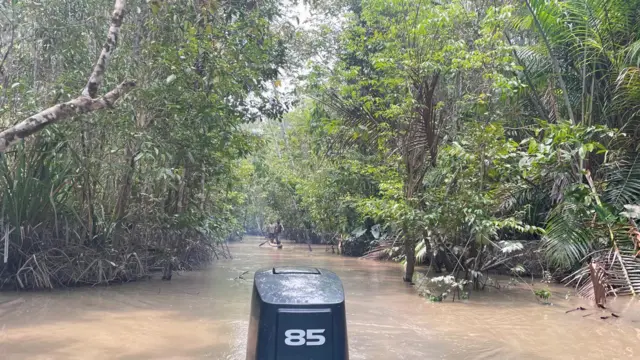 Asmat, Papua, gizi buruk, sungai, Distrik Pulau Tiga