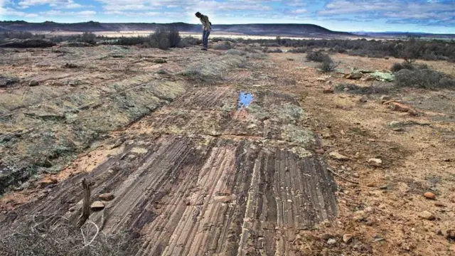 ఐస్ బర్గ్