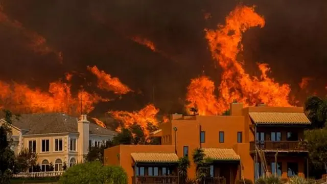 जंगल की आग