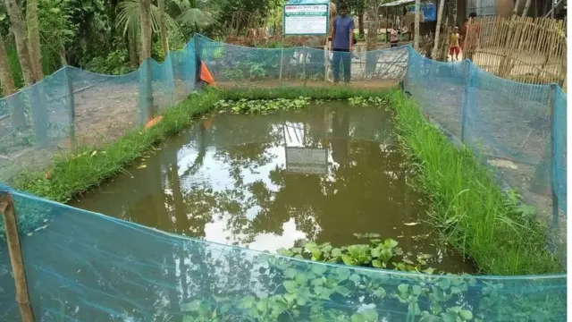 দিনাজপুরের একটি কুঁচিয়া খামার